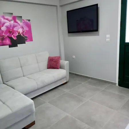 Zakynthos Gold House - Appartments 아파트 *