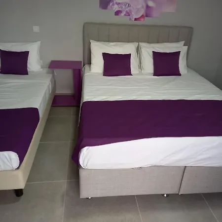 Zakynthos Gold House - Appartments